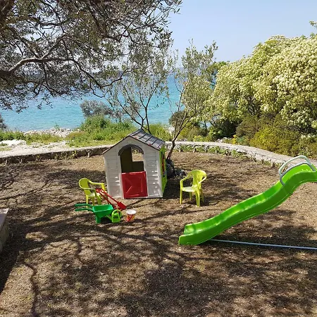 Rafael * 奥库格哥恩基