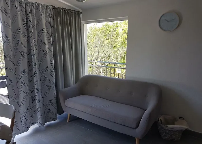 Rafael 奥库格哥恩基